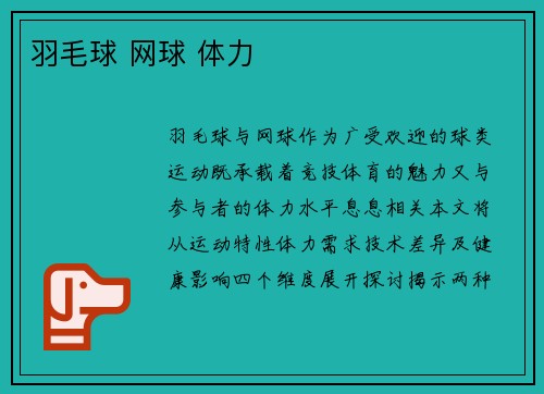 羽毛球 网球 体力